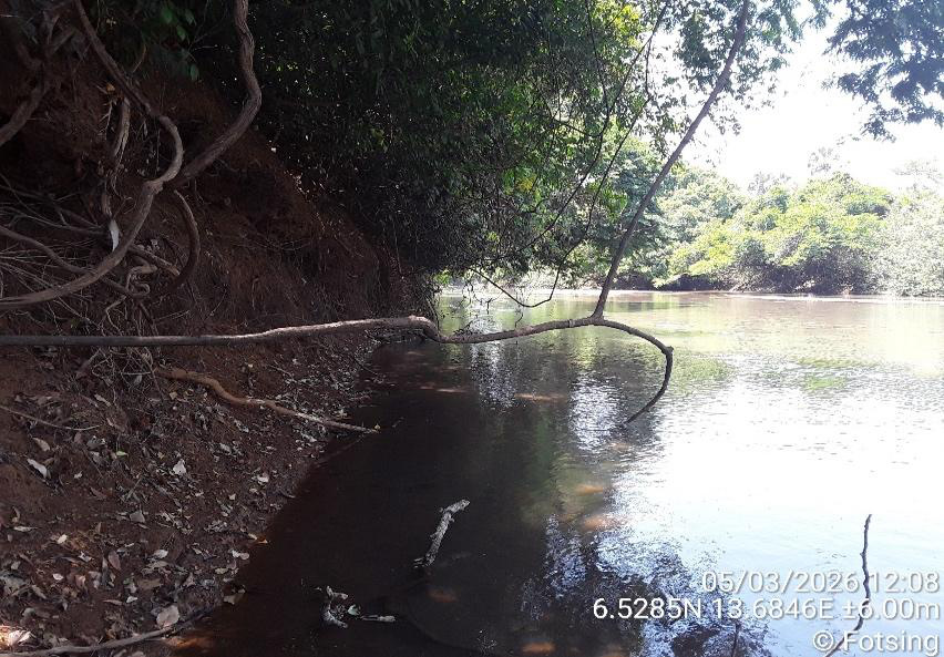 Zona úmida na Parcela F